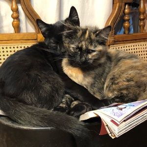 Meet your Posher, Janet